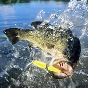 World of Fishing