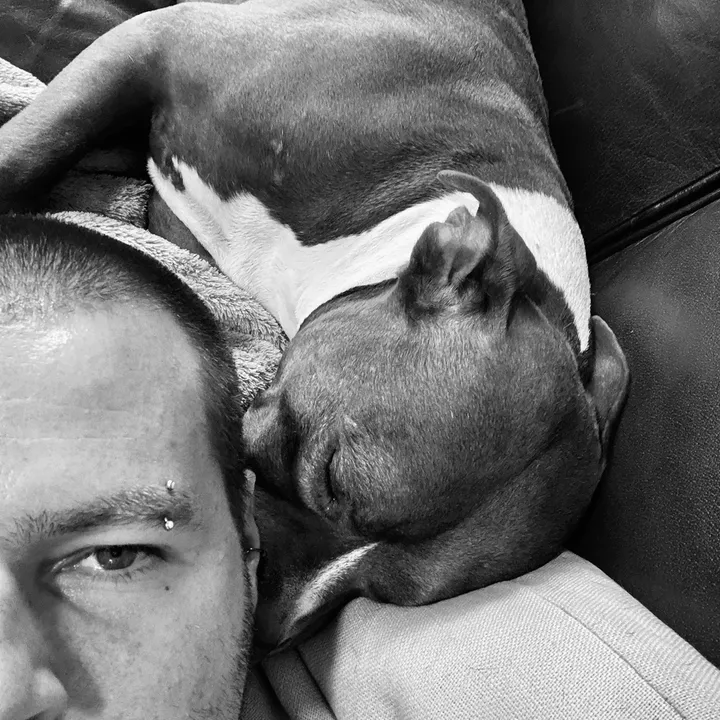 tripp terrier