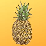 Dieta & Receitas emagrecer🍍