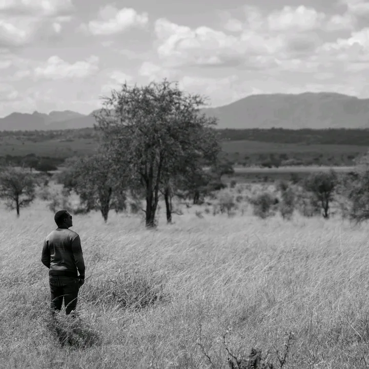 The Drone Guy