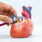 Cardiology by Dr. Jahangeer