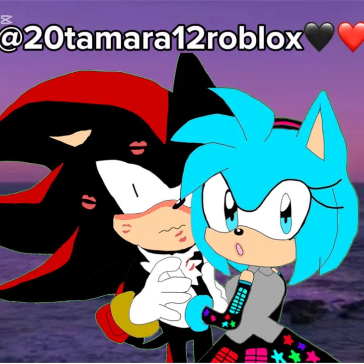 Miku sonica la eriza♡❤️🖤