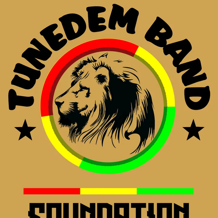 TuneDem Band