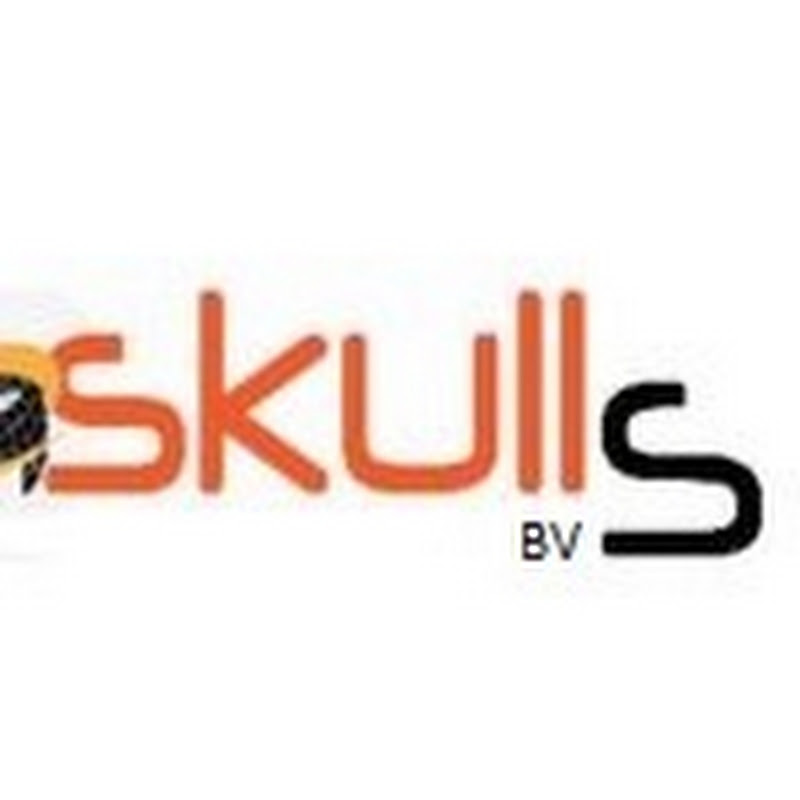 Webskulls BV