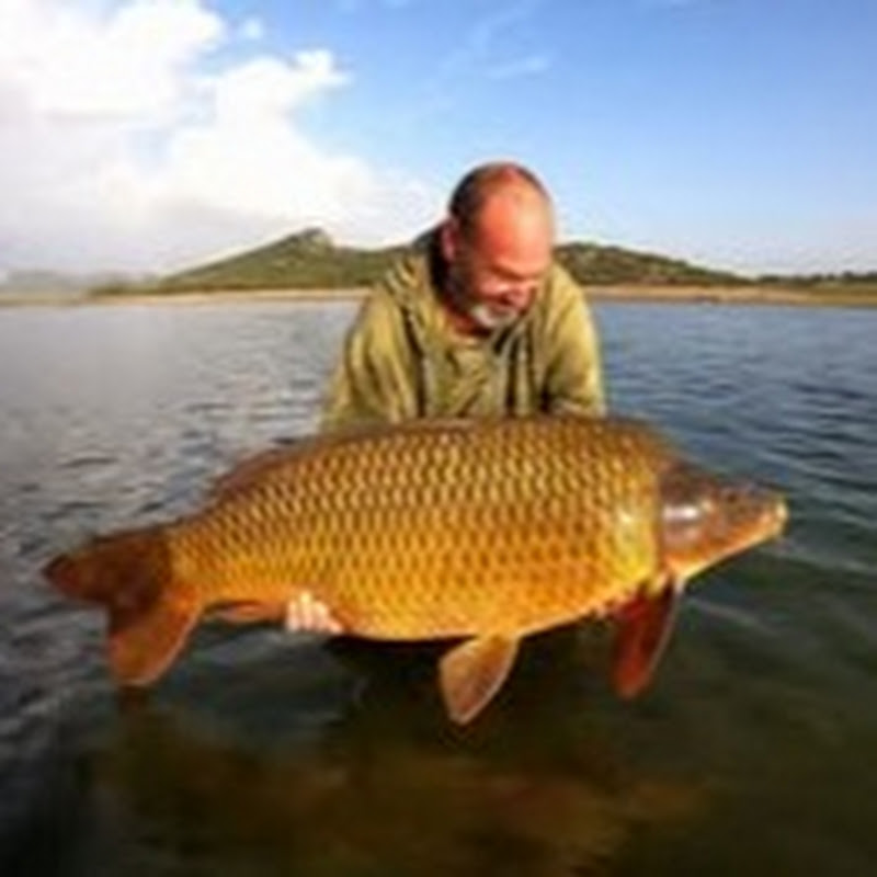 Nick Shattock's- Ebro & Extremadura Fishing Tours