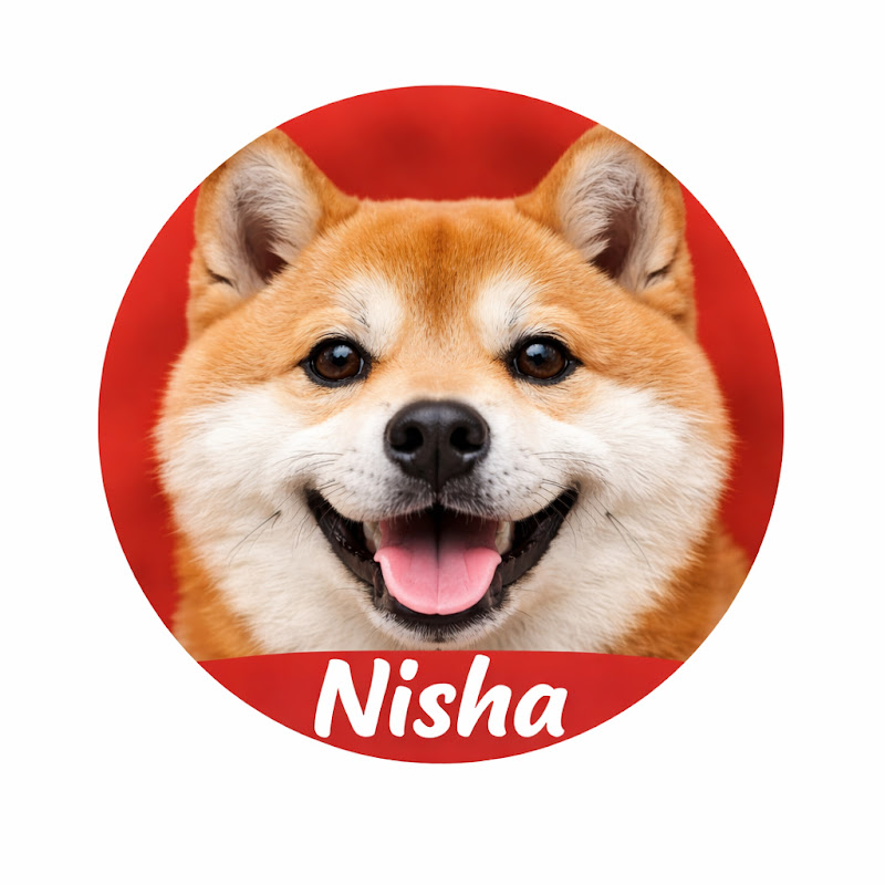 ニシャ犬チャンネル 🐶Nisha Dog Channel