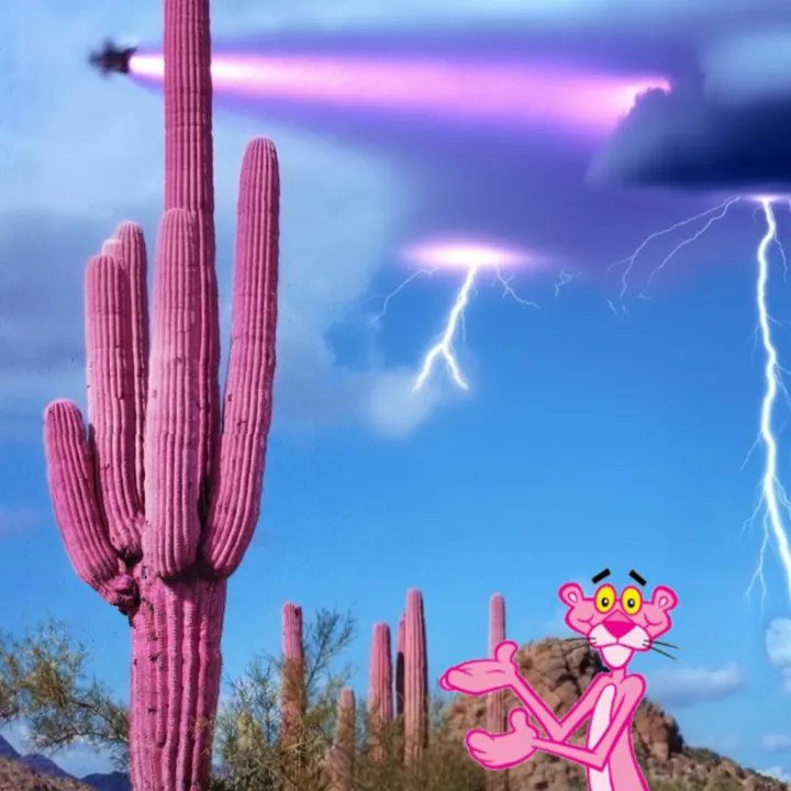Bleiki Kaktusinn 🌵