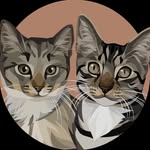 Mochi, Miso & Muffin