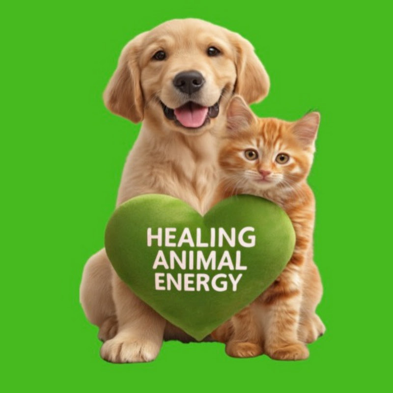Healing Animal Energy