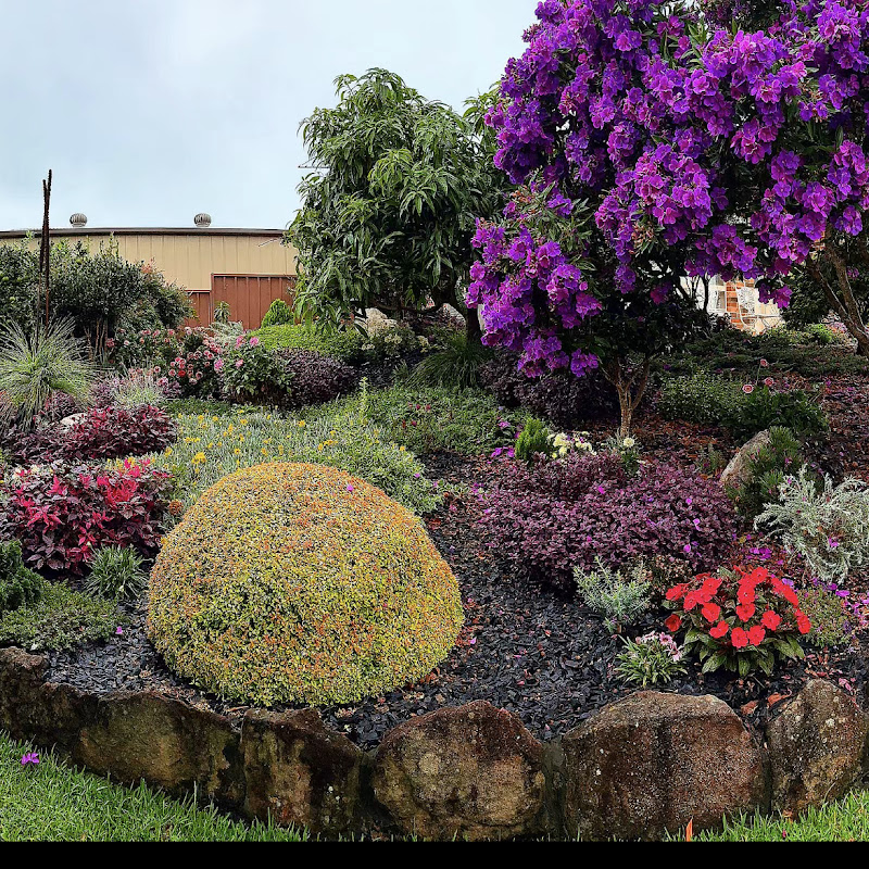 Super Saiyan Garden 