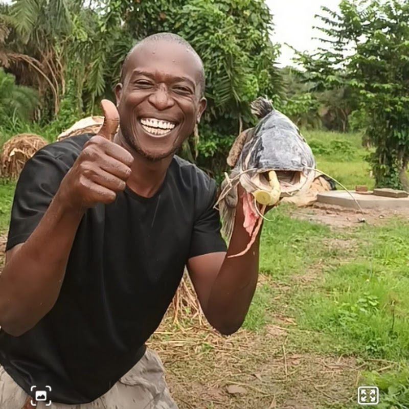 Buzima Offgrid Homestead Hues