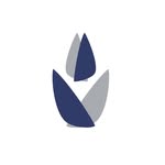 Contest Yachts