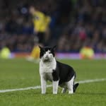 A football Adventurer