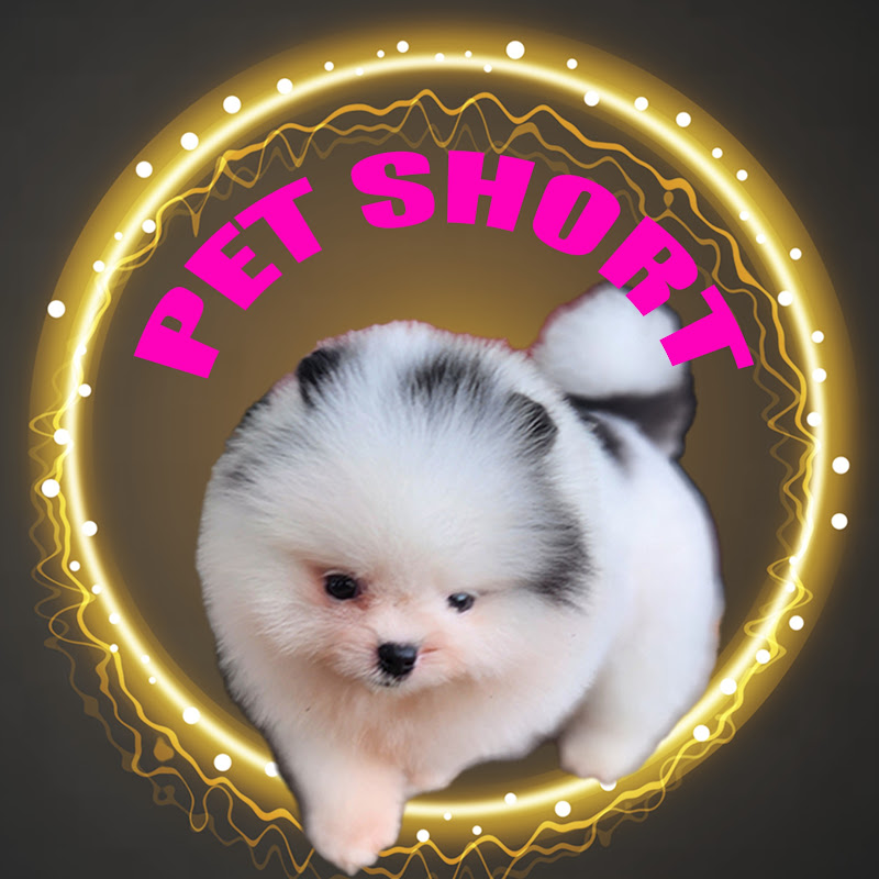 PET SHORT
