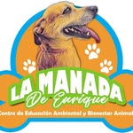 La Manada de Enrique
