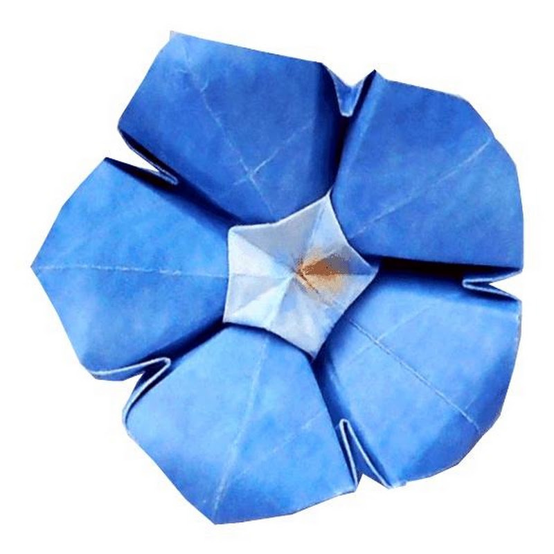 Joost Langeveld Origami
