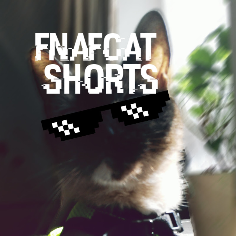 fnafcat Shorts
