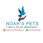Noah's Pets
