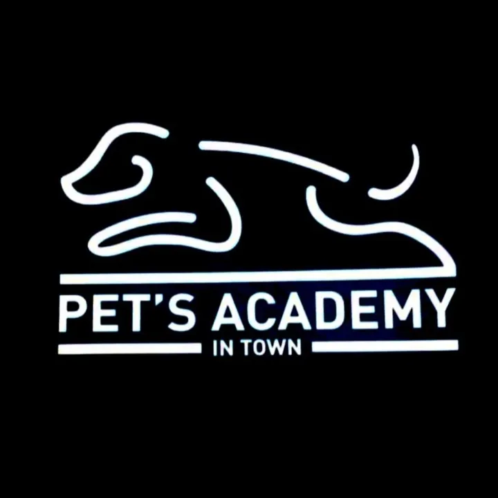 Pet’s Academy In Town