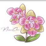 𝐌𝐢𝐮𝐜𝐨𝐂𝐡𝐞𝐧 Trading Company