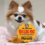 ᭙ⅈꪀડꪮꪑꫀ