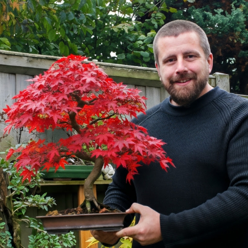 Callan Jones | Rōjin Bonsai Studio