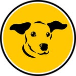Dogs Trust Canterbury 🐾