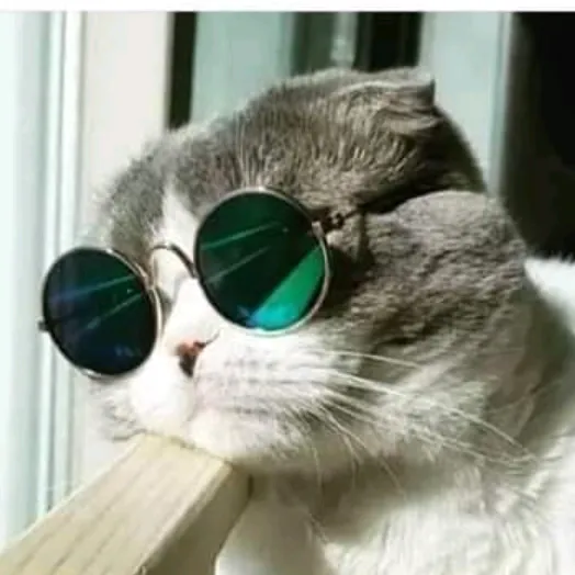 Наталья Дёмина