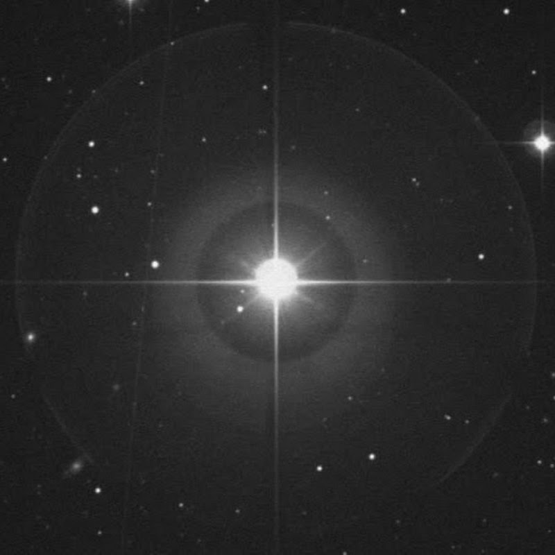 Pancho Francisco Floyd