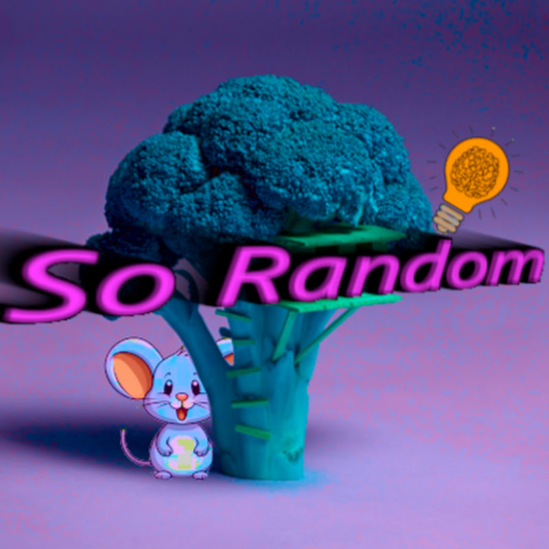 Daily Random Things