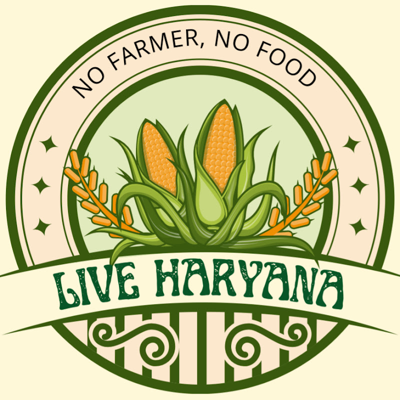Live Haryana