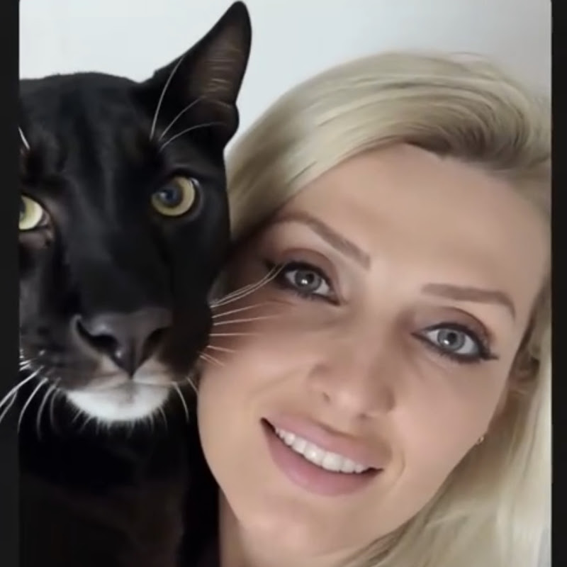 TONTON KEDİCİKLER