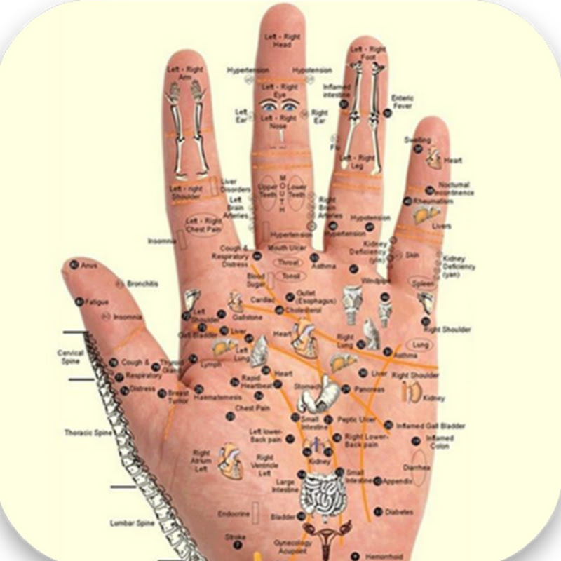 Acupressure Therapy Solution