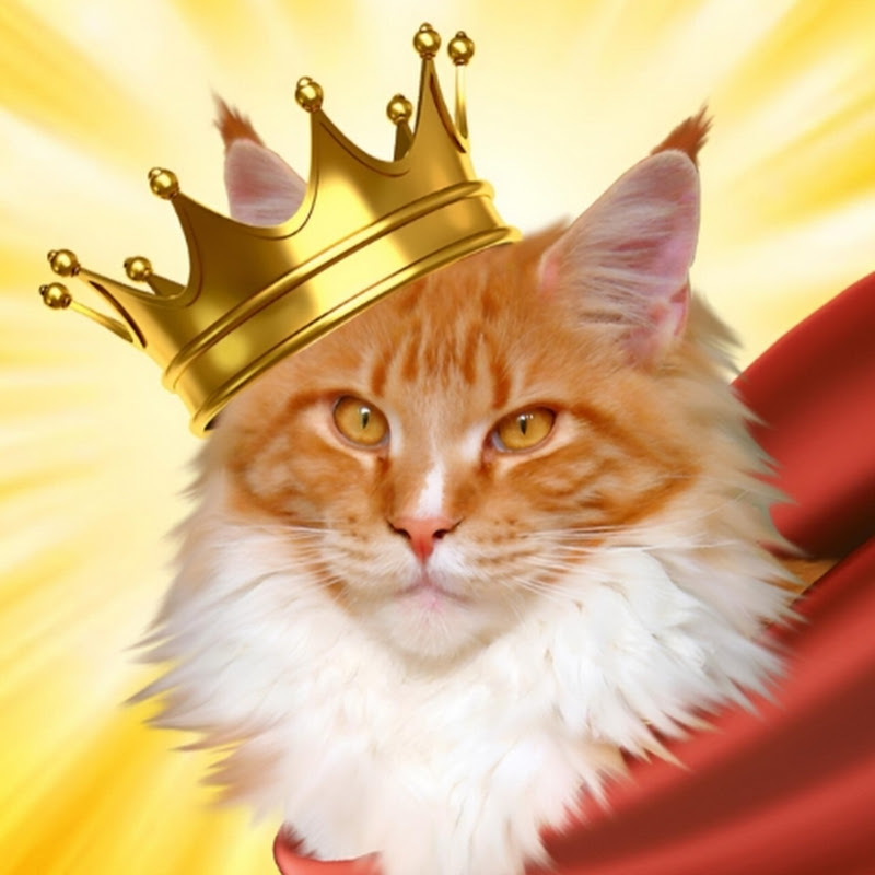ZaGrandCat