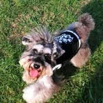 𝑾𝒐𝒓𝒍𝒅 𝑷𝒊𝒍𝒍𝒂𝒓 𝑲𝒆𝒏𝒏𝒆𝒍 _𝑹𝒚𝒐 𝑻𝒂𝒏𝒂𝒌𝒂