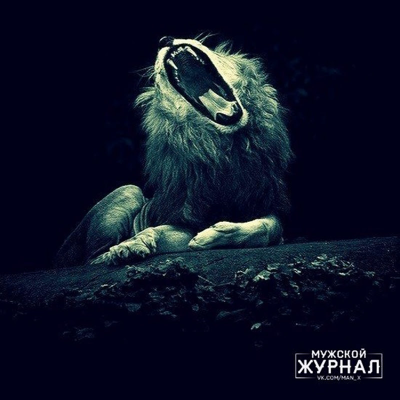 Только перед! 