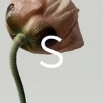 Symbiome