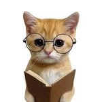 Memeow