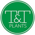 Tried & True Plants