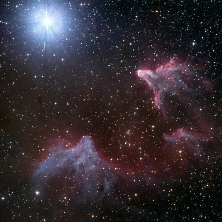 astrophotoflo