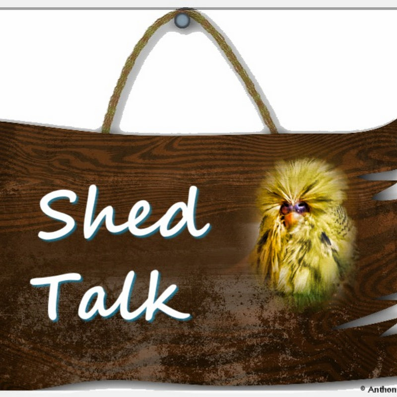 Shed Talk