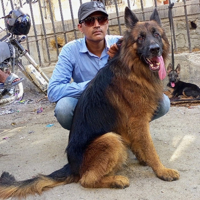 BaBa PeTs InFo