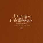 Among the wildflowers | Ontario photographer