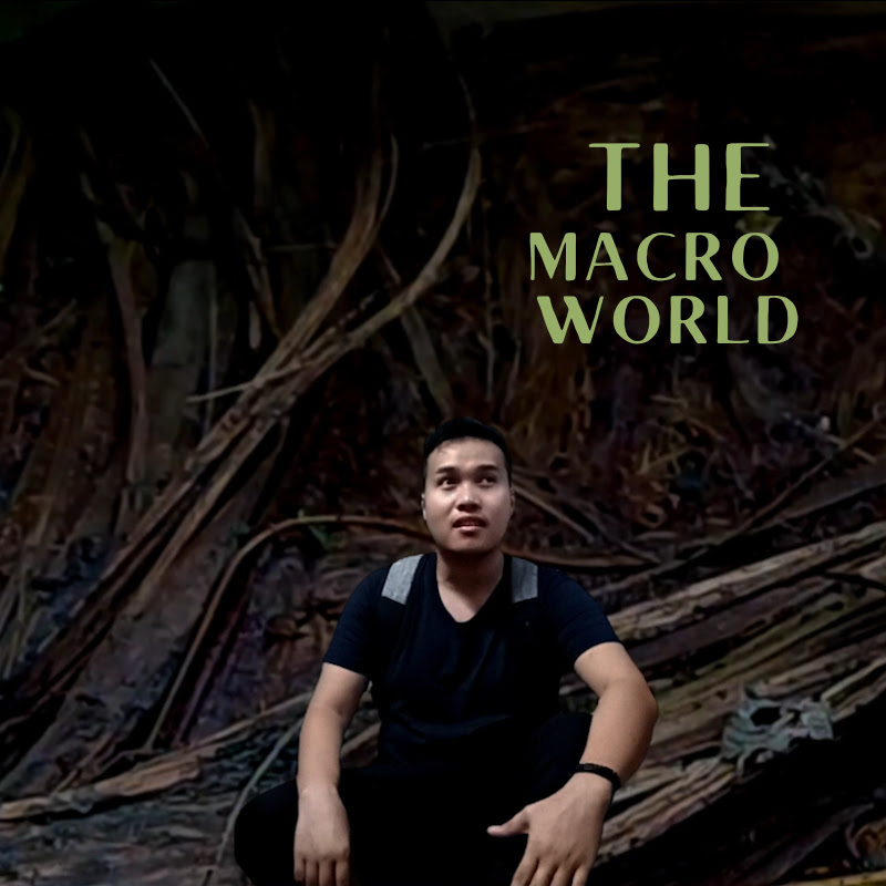 The Macro World