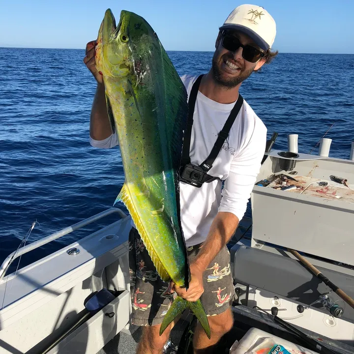 THE NEXT FISH Tim Moorfoot