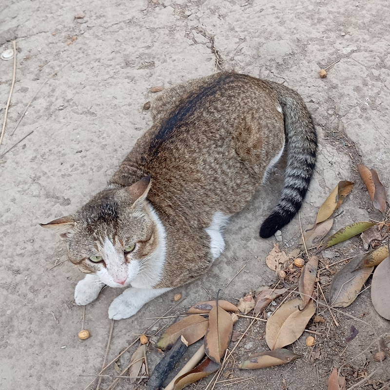 Marvelous Beauty in Nature