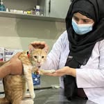 Pet Life Care by Dr Rohma Shabbir Lahore