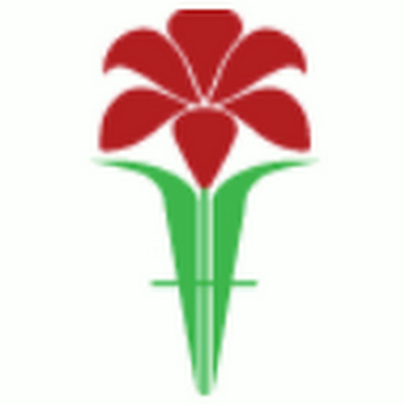 Forever Florist Thailand