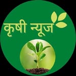 कृषी न्यूज | Krushi News