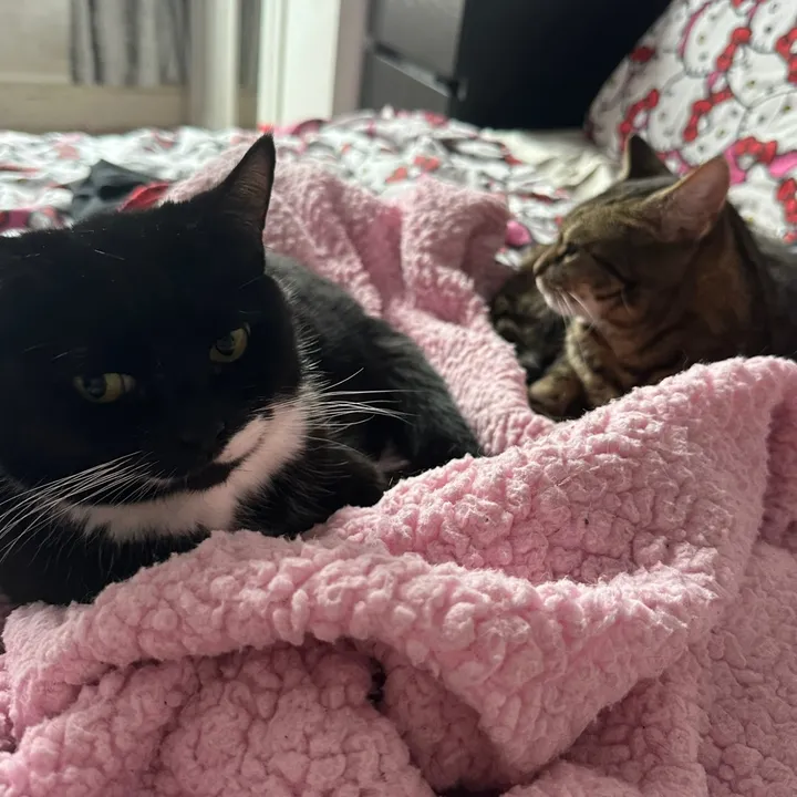 poppyandcleo1
